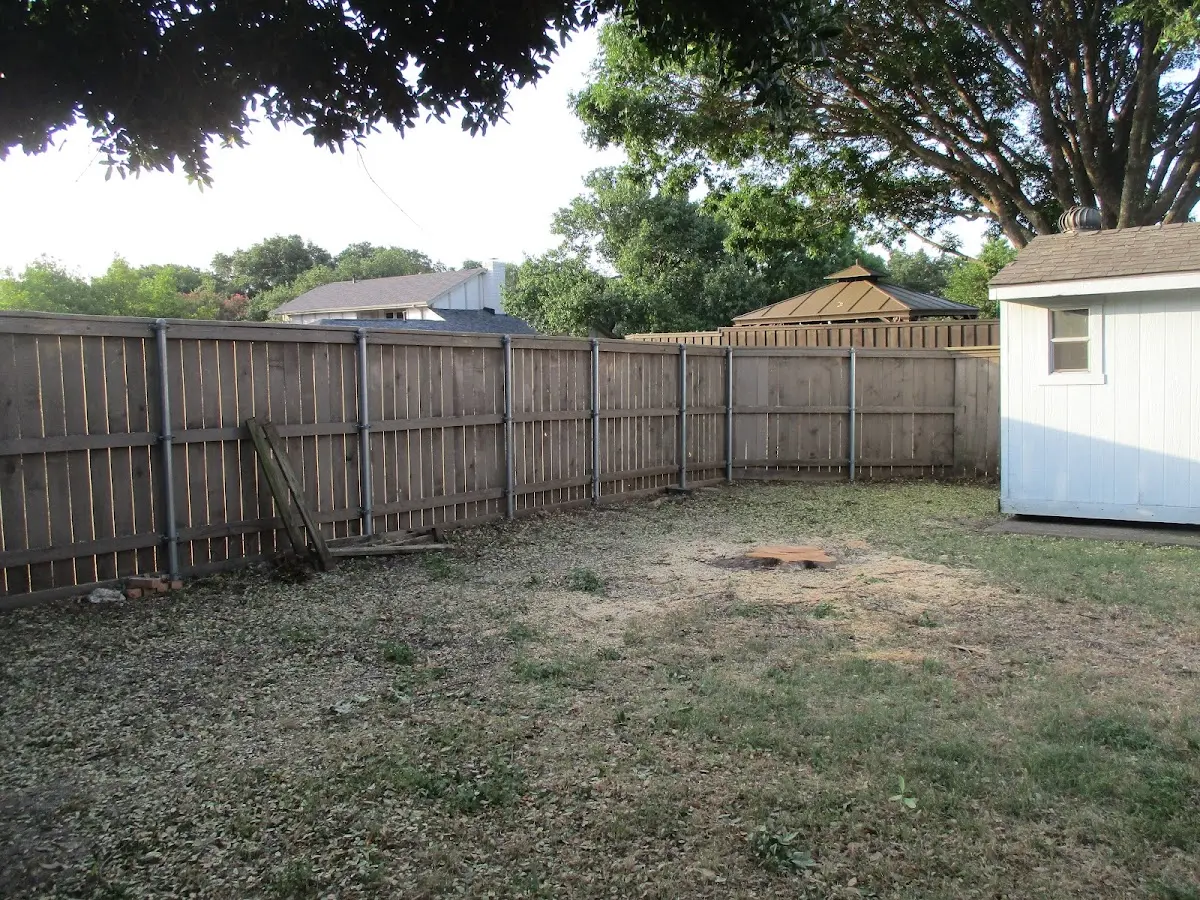 Cleared yard after professional tree removal in Rockfield